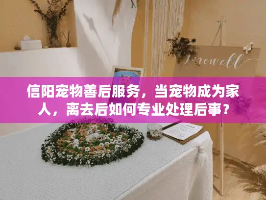 信阳宠物善后服务，当宠物成为家人，离去后如何专业处理后事？