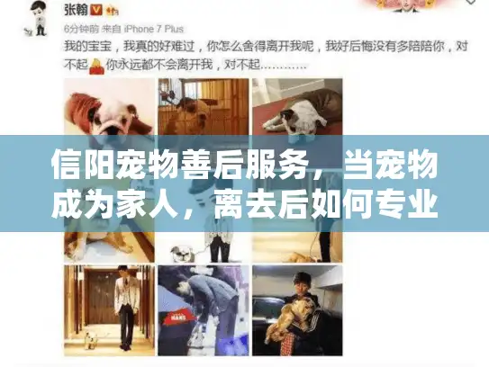 信阳宠物善后服务，当宠物成为家人，离去后如何专业处理后事？