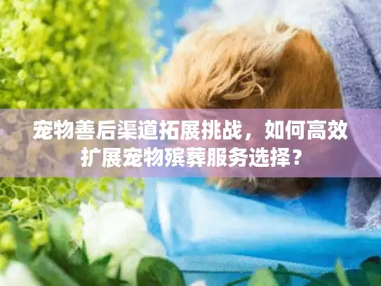 宠物善后渠道拓展挑战，如何高效扩展宠物殡葬服务选择？