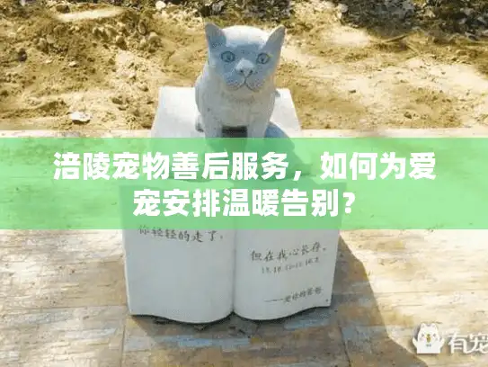 涪陵宠物善后服务，如何为爱宠安排温暖告别？