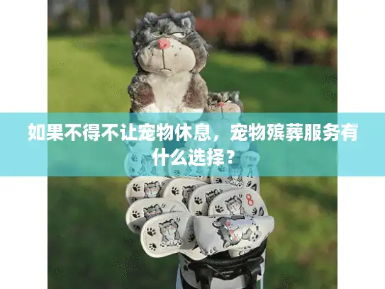 如果不得不让宠物休息，宠物殡葬服务有什么选择？