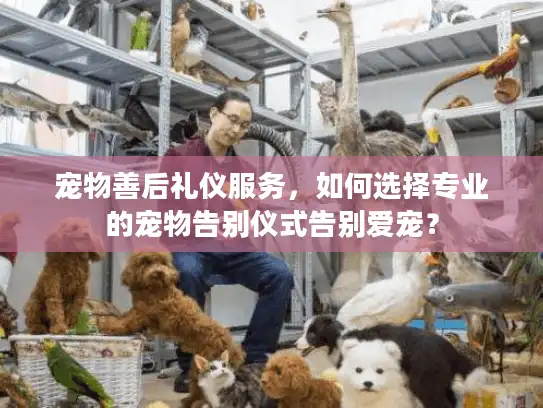 宠物善后礼仪服务，如何选择专业的宠物告别仪式告别爱宠？