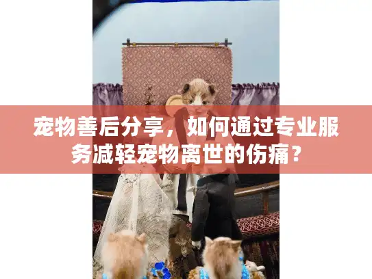 宠物善后分享，如何通过专业服务减轻宠物离世的伤痛？
