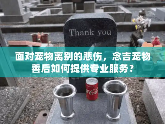 面对宠物离别的悲伤，念吉宠物善后如何提供专业服务？