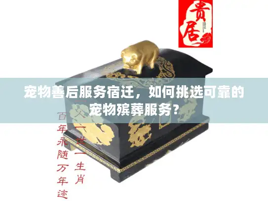 宠物善后服务宿迁，如何挑选可靠的宠物殡葬服务？