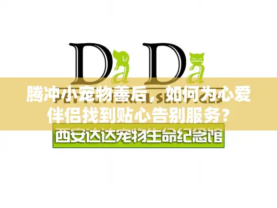 腾冲小宠物善后，如何为心爱伴侣找到贴心告别服务？