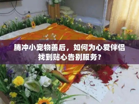 腾冲小宠物善后，如何为心爱伴侣找到贴心告别服务？