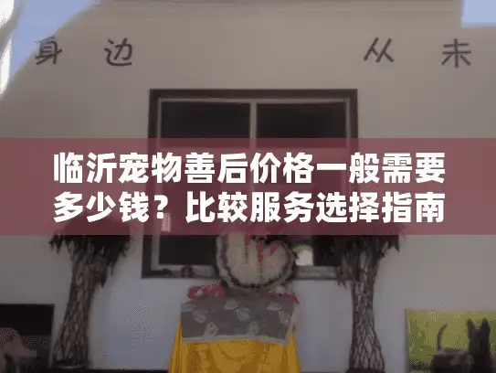 临沂宠物善后价格一般需要多少钱？比较服务选择指南