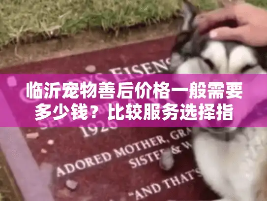 临沂宠物善后价格一般需要多少钱？比较服务选择指南