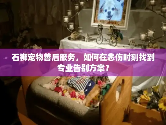 石狮宠物善后服务，如何在悲伤时刻找到专业告别方案？