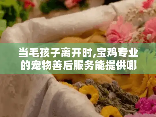 当毛孩子离开时,宝鸡专业的宠物善后服务能提供哪些温暖帮助？