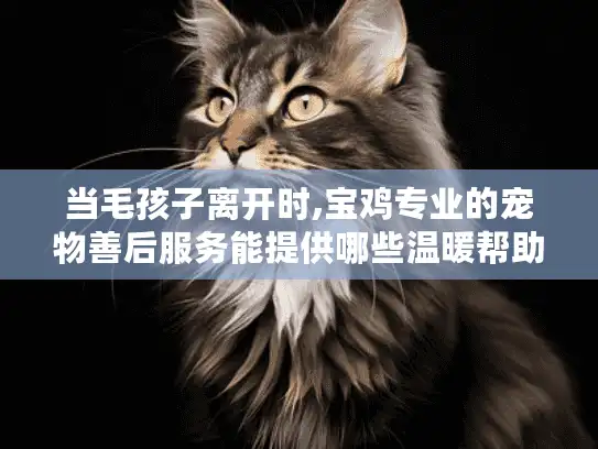 当毛孩子离开时,宝鸡专业的宠物善后服务能提供哪些温暖帮助？