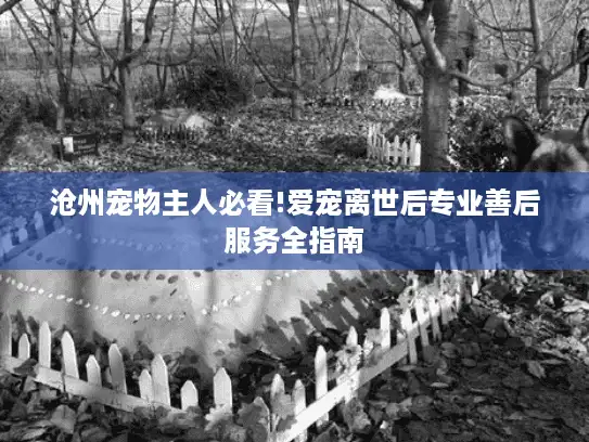沧州宠物主人必看!爱宠离世后专业善后服务全指南