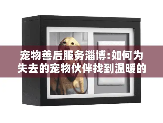 宠物善后服务淄博:如何为失去的宠物伙伴找到温暖的告别方式?