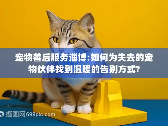 宠物善后服务淄博:如何为失去的宠物伙伴找到温暖的告别方式?