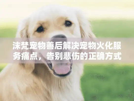 沫梵宠物善后解决宠物火化服务痛点，告别悲伤的正确方式