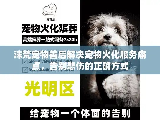 沫梵宠物善后解决宠物火化服务痛点，告别悲伤的正确方式