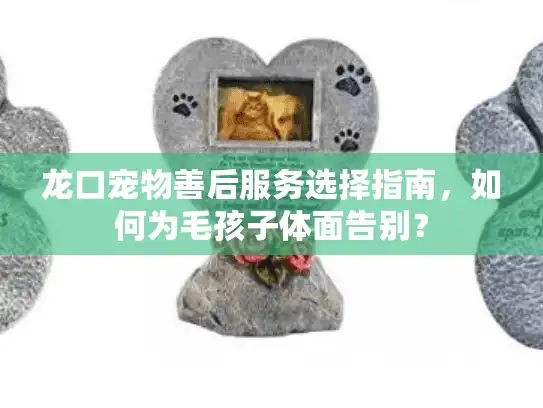 龙口宠物善后服务选择指南，如何为毛孩子体面告别？