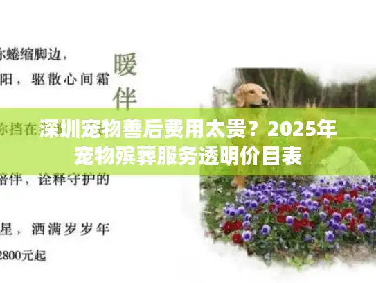深圳宠物善后费用太贵？2025年宠物殡葬服务透明价目表