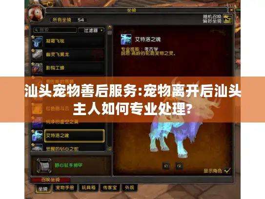 汕头宠物善后服务:宠物离开后汕头主人如何专业处理?