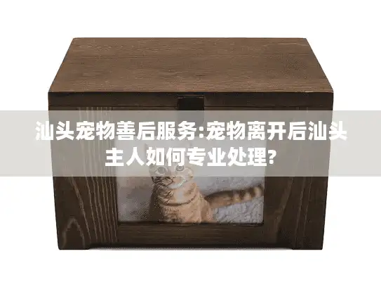 汕头宠物善后服务:宠物离开后汕头主人如何专业处理?
