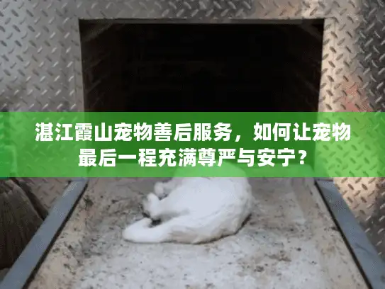 湛江霞山宠物善后服务，如何让宠物最后一程充满尊严与安宁？