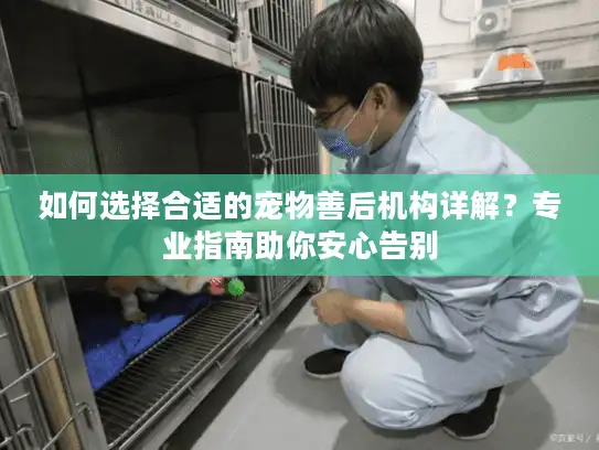 如何选择合适的宠物善后机构详解？专业指南助你安心告别