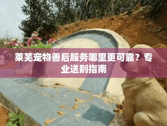 莱芜宠物善后服务哪里更可靠？专业送别指南