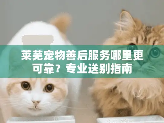 莱芜宠物善后服务哪里更可靠？专业送别指南