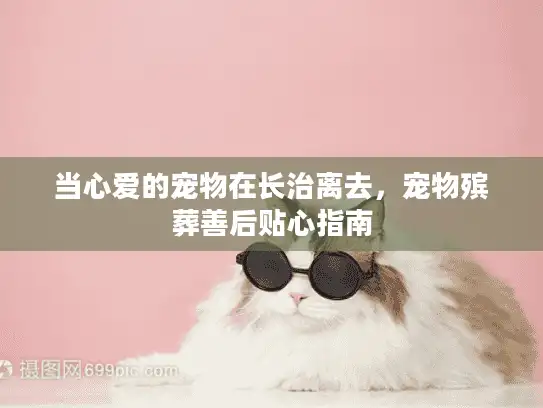 当心爱的宠物在长治离去，宠物殡葬善后贴心指南