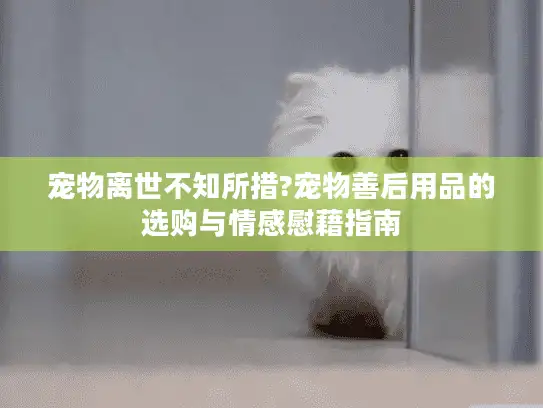 宠物离世不知所措?宠物善后用品的选购与情感慰藉指南