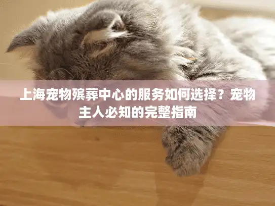 上海宠物殡葬中心的服务如何选择？宠物主人必知的完整指南