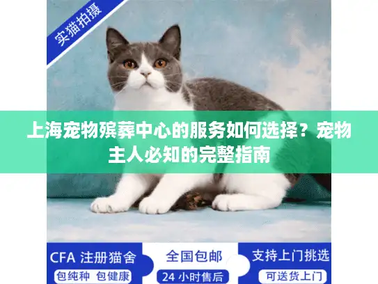 上海宠物殡葬中心的服务如何选择？宠物主人必知的完整指南