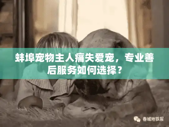 蚌埠宠物主人痛失爱宠，专业善后服务如何选择？
