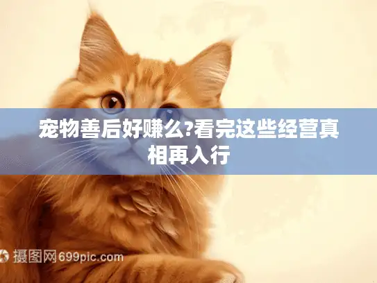 宠物善后好赚么?看完这些经营真相再入行