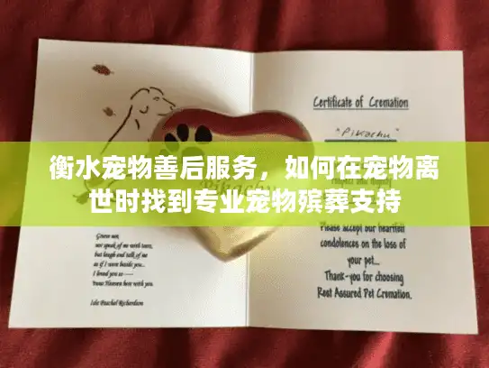 衡水宠物善后服务，如何在宠物离世时找到专业宠物殡葬支持