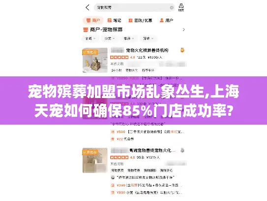 宠物殡葬加盟市场乱象丛生,上海天宠如何确保85%门店成功率?