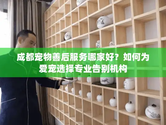 成都宠物善后服务哪家好？如何为爱宠选择专业告别机构