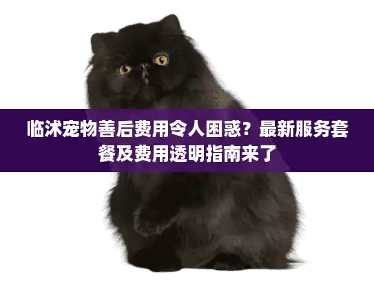 临沭宠物善后费用令人困惑？最新服务套餐及费用透明指南来了