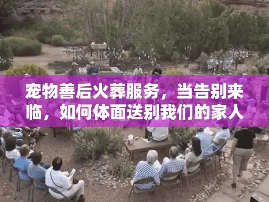 宠物善后火葬服务，当告别来临，如何体面送别我们的家人？