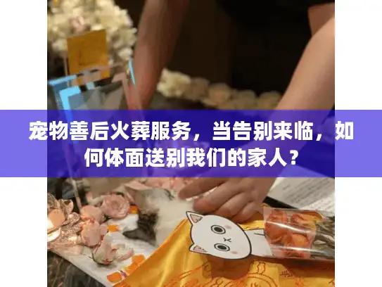 宠物善后火葬服务，当告别来临，如何体面送别我们的家人？