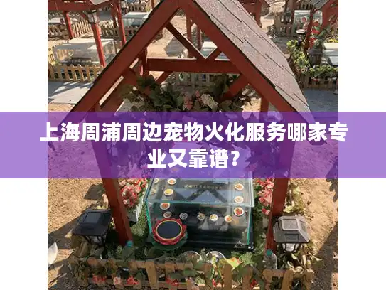 上海周浦周边宠物火化服务哪家专业又靠谱？