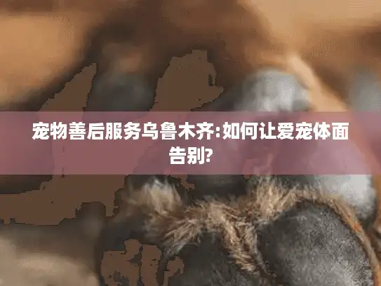 宠物善后服务乌鲁木齐:如何让爱宠体面告别?