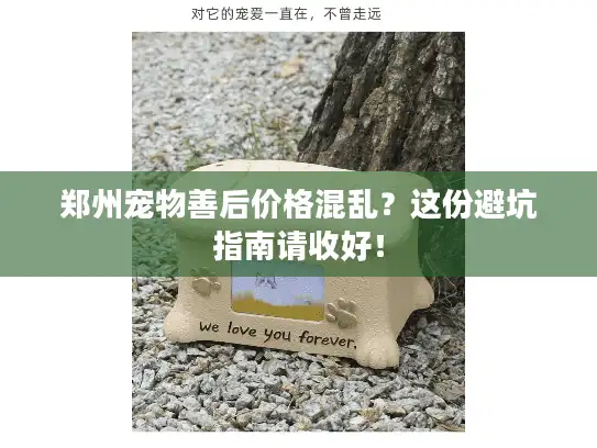 郑州宠物善后价格混乱？这份避坑指南请收好！