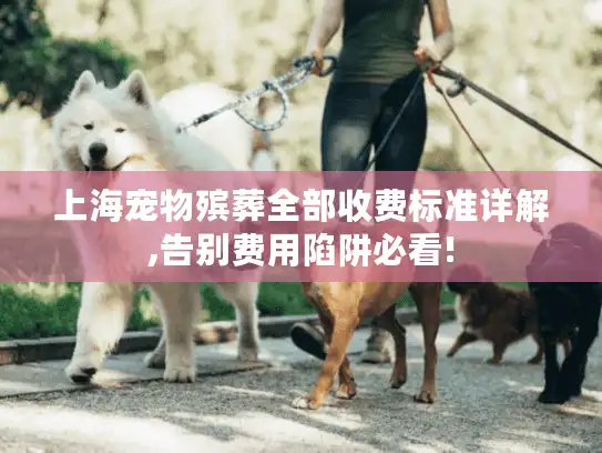 上海宠物殡葬全部收费标准详解,告别费用陷阱必看!