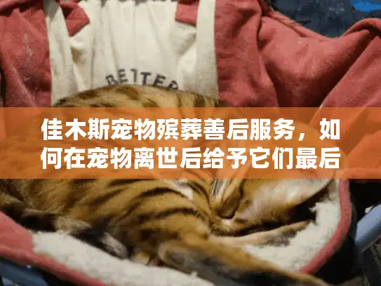 佳木斯宠物殡葬善后服务，如何在宠物离世后给予它们最后的尊严？
