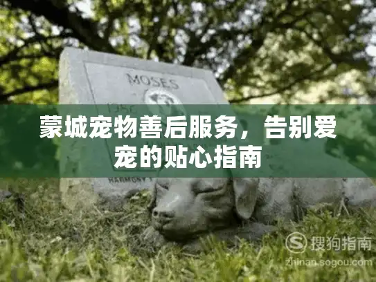 蒙城宠物善后服务，告别爱宠的贴心指南