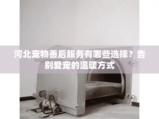 河北宠物善后服务有哪些选择？告别爱宠的温暖方式