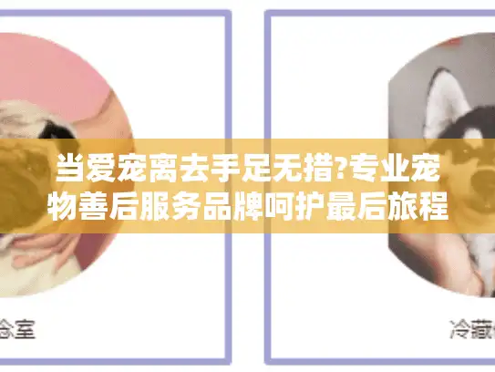 当爱宠离去手足无措?专业宠物善后服务品牌呵护最后旅程