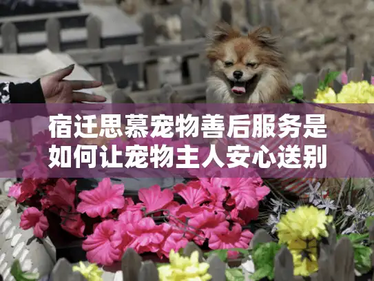宿迁思慕宠物善后服务是如何让宠物主人安心送别爱宠的？